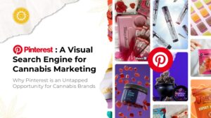 Pinterest: A Visual Search Engine for Cannabis