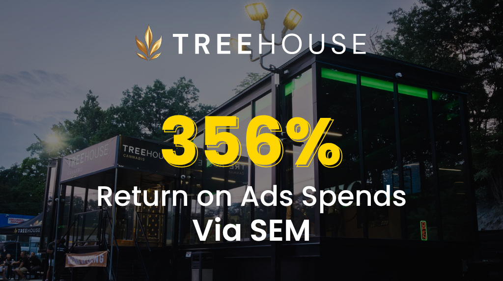 SEM 356% Return on Ads Spends